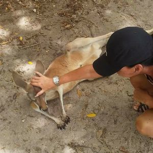 Meet your Posher, Patricia